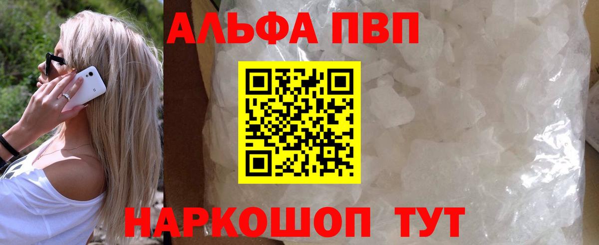 Alfa_PVP СК КРИС Вятские Поляны