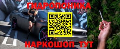крисы Апшеронск