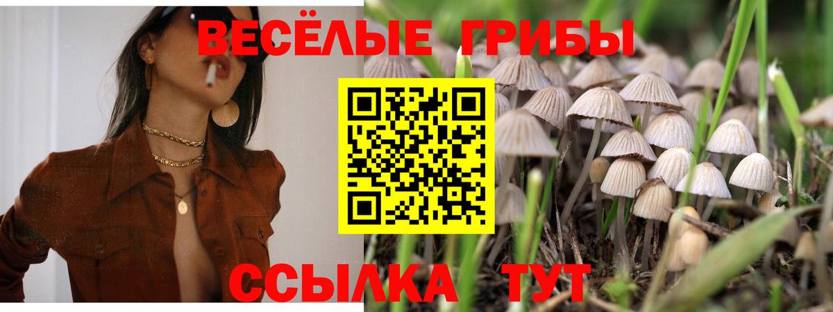 Вятские Поляны  Псилоцибиновые грибы Cubensis  Вход с VPN 